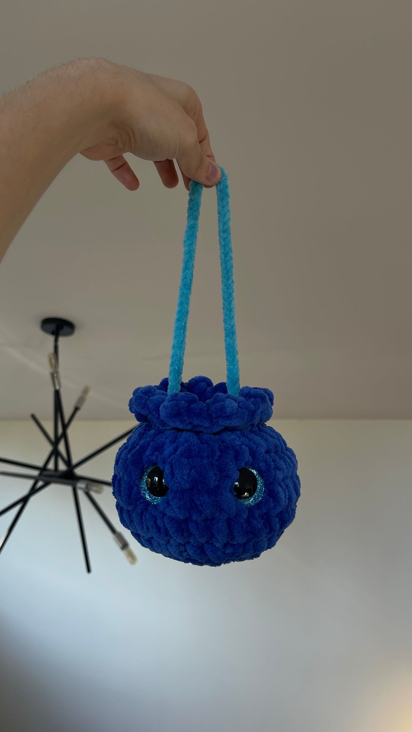 Blueberry Car Hanger 1